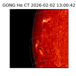 gong - 2026-02-02T13:00:42