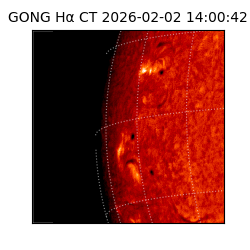 gong - 2026-02-02T14:00:42