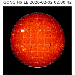 gong - 2026-02-02T02:00:42