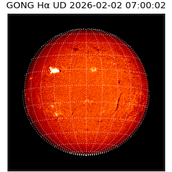 gong - 2026-02-02T07:00:02