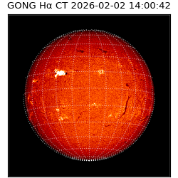 gong - 2026-02-02T14:00:42