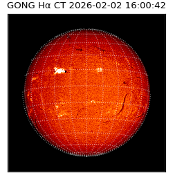 gong - 2026-02-02T16:00:42