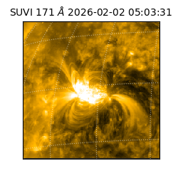 suvi - 2026-02-02T05:03:31.431000