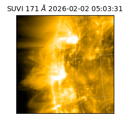 suvi - 2026-02-02T05:03:31.431000