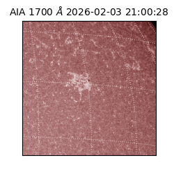 saia - 2026-02-03T21:00:28.718000