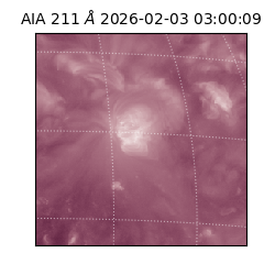 saia - 2026-02-03T03:00:09.633000