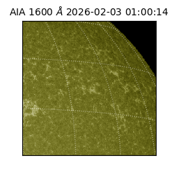 saia - 2026-02-03T01:00:14.126000