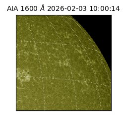 saia - 2026-02-03T10:00:14.126000