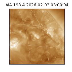 saia - 2026-02-03T03:00:04.843000