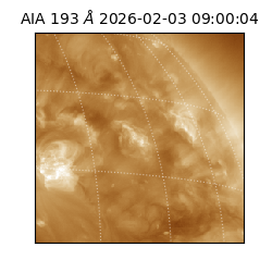 saia - 2026-02-03T09:00:04.835000
