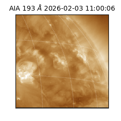 saia - 2026-02-03T11:00:06.232000