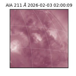 saia - 2026-02-03T02:00:09.632000