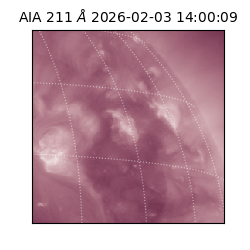 saia - 2026-02-03T14:00:09.619000