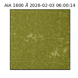 saia - 2026-02-03T06:00:14.126000