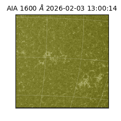 saia - 2026-02-03T13:00:14.125000