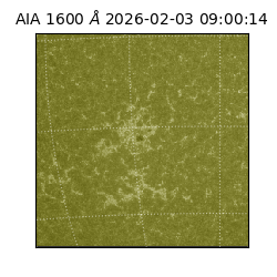 saia - 2026-02-03T09:00:14.118000