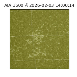 saia - 2026-02-03T14:00:14.124000