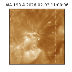 saia - 2026-02-03T11:00:06.232000
