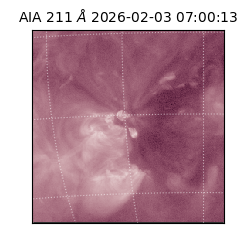 saia - 2026-02-03T07:00:13.199000