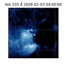 saia - 2026-02-03T04:00:00.626000