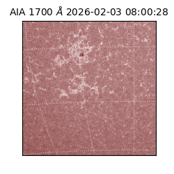 saia - 2026-02-03T08:00:28.710000
