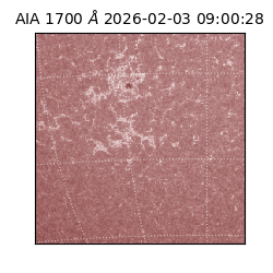 saia - 2026-02-03T09:00:28.717000