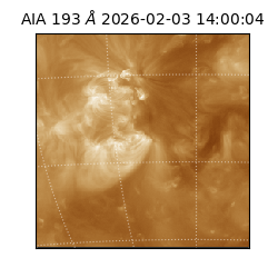 saia - 2026-02-03T14:00:04.835000