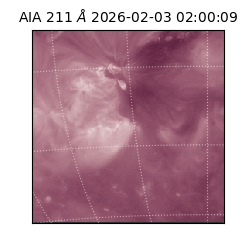 saia - 2026-02-03T02:00:09.632000