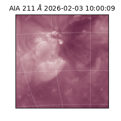 saia - 2026-02-03T10:00:09.632000