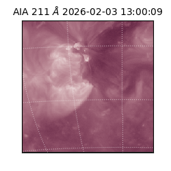 saia - 2026-02-03T13:00:09.626000