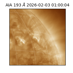 saia - 2026-02-03T01:00:04.843000