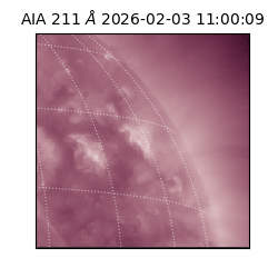 saia - 2026-02-03T11:00:09.634000