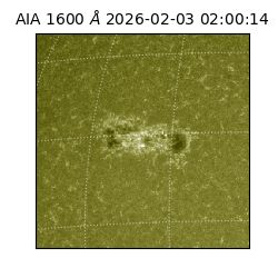 saia - 2026-02-03T02:00:14.126000