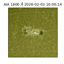 saia - 2026-02-03T10:00:14.126000