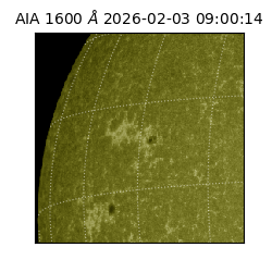 saia - 2026-02-03T09:00:14.118000