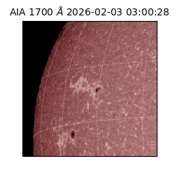 saia - 2026-02-03T03:00:28.726000