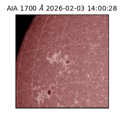saia - 2026-02-03T14:00:28.718000