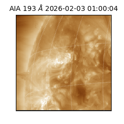 saia - 2026-02-03T01:00:04.843000