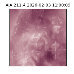 saia - 2026-02-03T11:00:09.634000