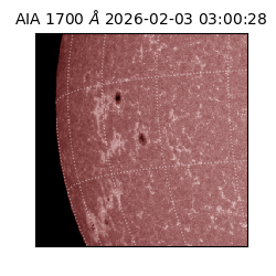 saia - 2026-02-03T03:00:28.726000