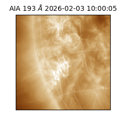 saia - 2026-02-03T10:00:05.916000