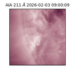 saia - 2026-02-03T09:00:09.625000