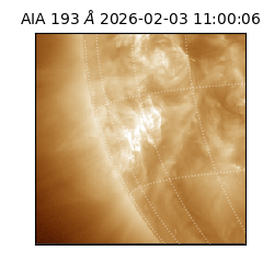 saia - 2026-02-03T11:00:06.232000