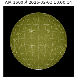 saia - 2026-02-03T10:00:14.126000