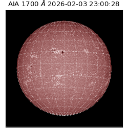 saia - 2026-02-03T23:00:28.717000