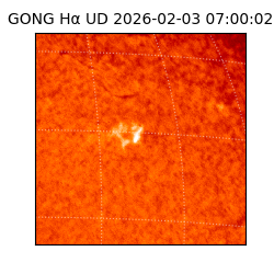 gong - 2026-02-03T07:00:02