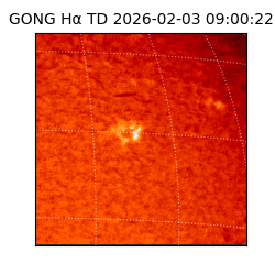 gong - 2026-02-03T09:00:22