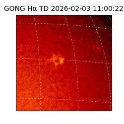 gong - 2026-02-03T11:00:22
