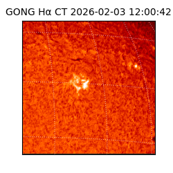 gong - 2026-02-03T12:00:42