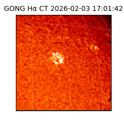 gong - 2026-02-03T17:01:42
